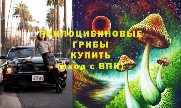 крисы Покачи