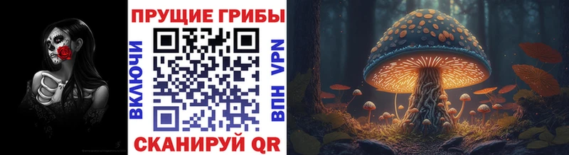 Галлюциногенные грибы Magic Shrooms  даркнет сайт  Юхнов 